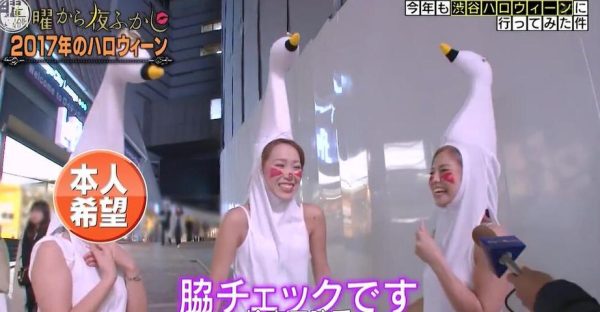 猫咪界的女孩？日本综艺女明星女友被称“猫咪女”